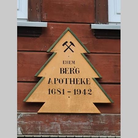 Ehem. Berg Apotheke Apartment Sankt Andreasberg Luaran gambar